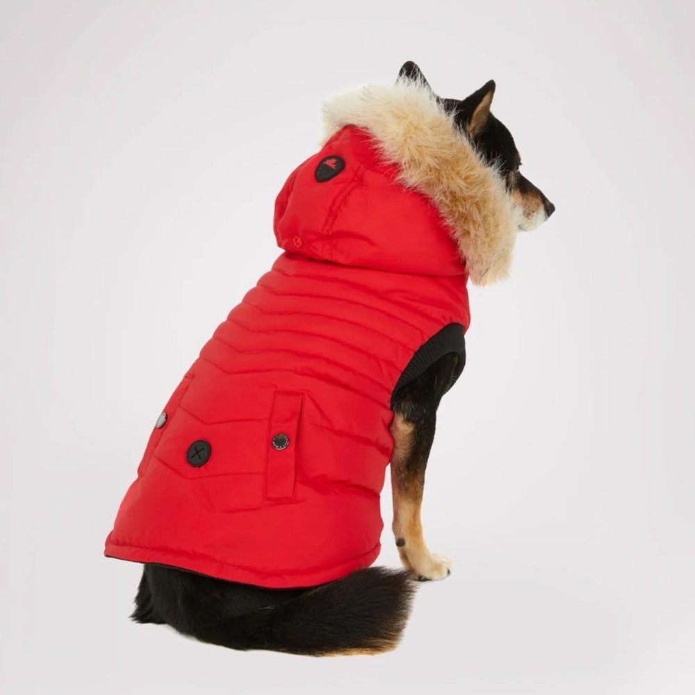 🐶🐾Pajar jacket 🐶 - Picture 4 of 5